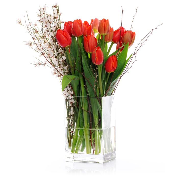 Tulipani rossi in vaso di vetro